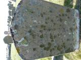 image of grave number 762929